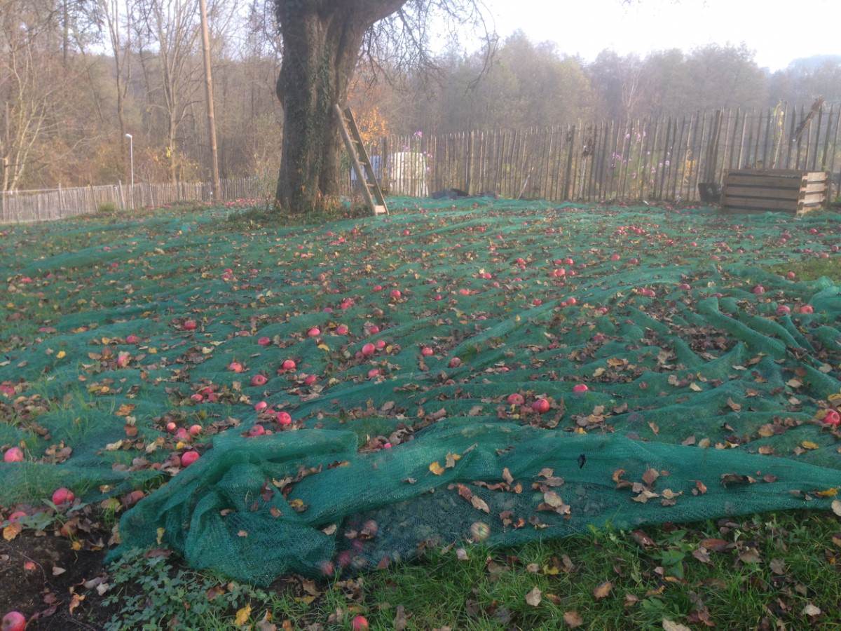 Harvest Nets for Fruit Harvest