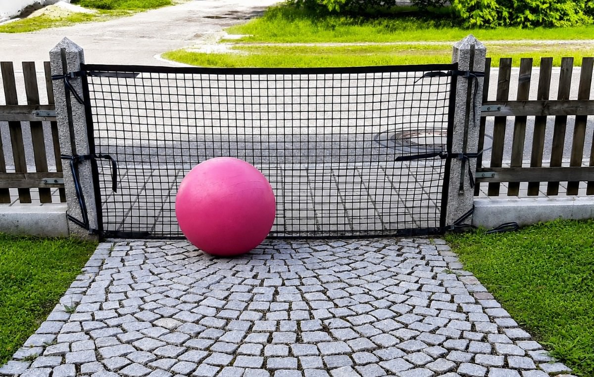 Barrier Nets - Alternative or Supplement to the Fence