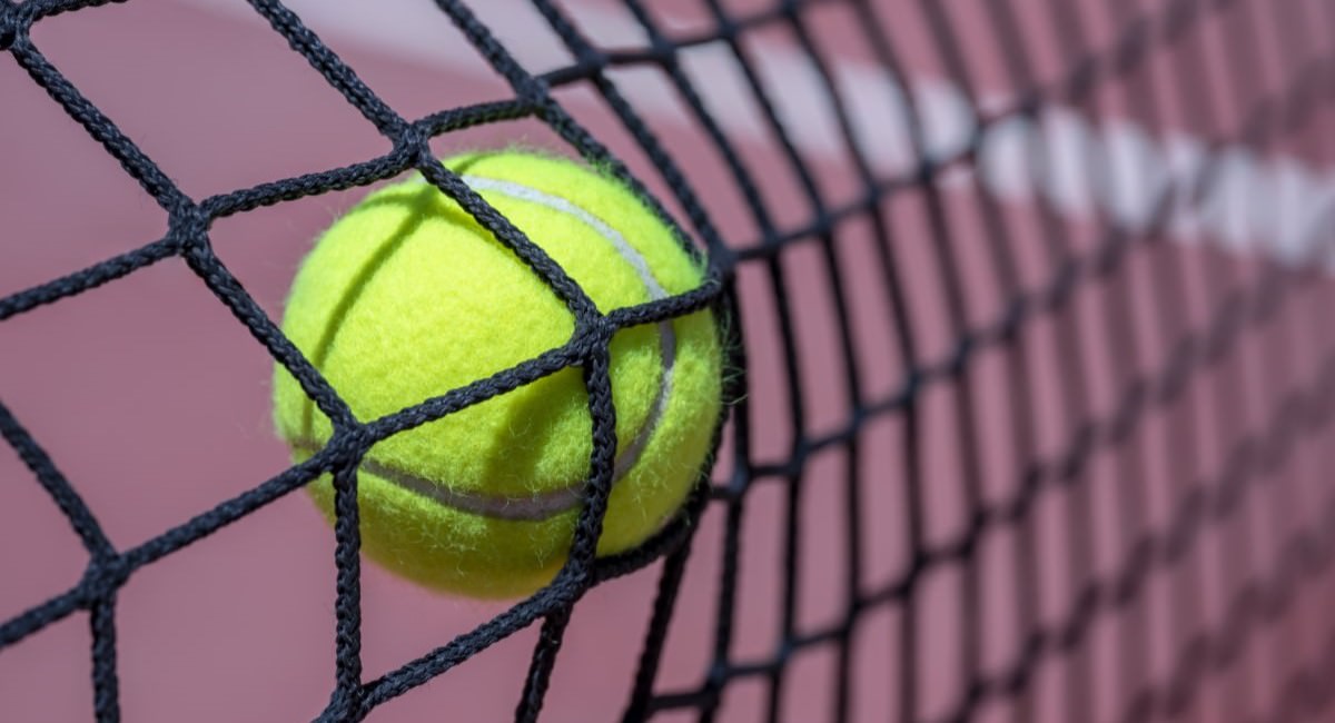 Ball Stop Nets