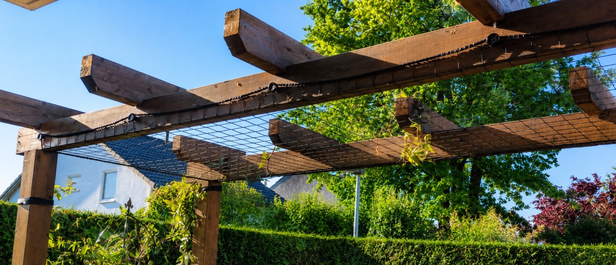 Creeper Nets for Climbing Plants