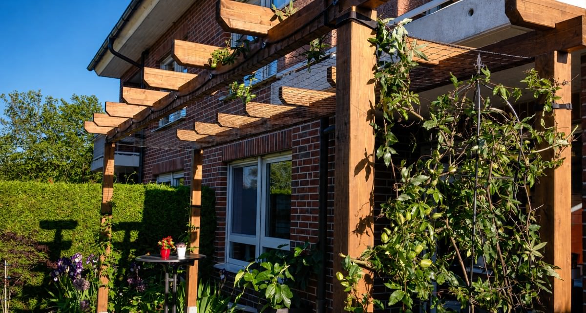 Creeper Nets for Climbing Plants