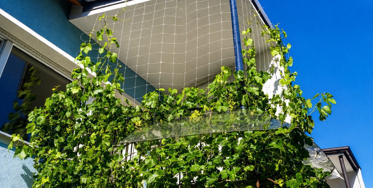 Netze für Laubschutz und Vegetation