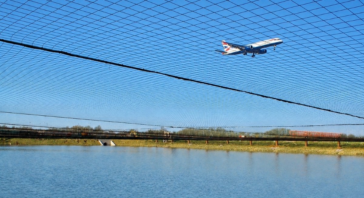 Aviary Protection for Industry