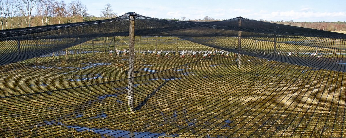 Animal Protection Netting