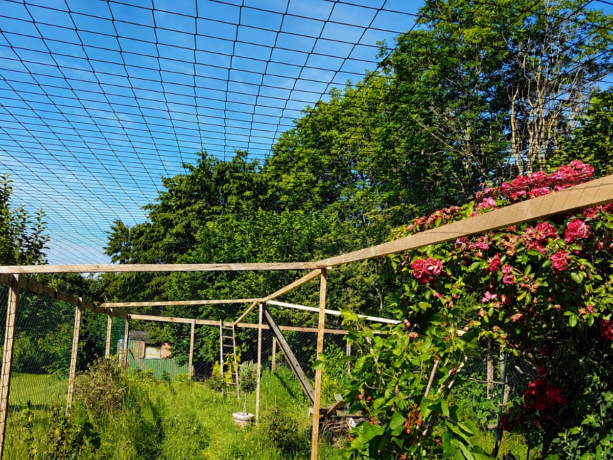 Aviary Protection for Industry