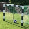 Goal Nets