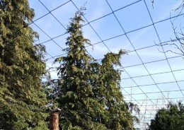 Poultry & Aviary Nets