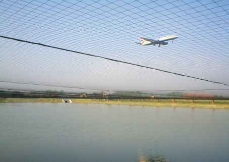 Pond Pool Cover Nets To Protect Against Herons Safetynet365