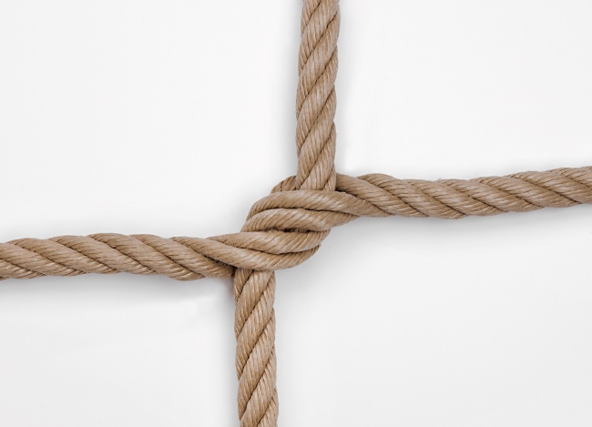 Extra starkes Kletternetz nach Maß | Schutznetze24