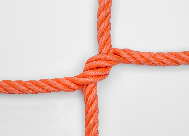 Extra starkes Kletternetz nach Maß | Schutznetze24