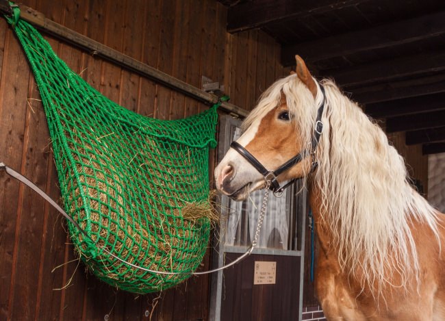 Futternetztasche für Pferde nach Maß | Schutznetze24