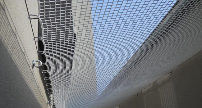 Snap Hook 60 x 6 mm | Safetynet365