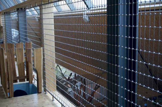 Wire Net with 3.0 mm Rope Diameter | Safetynet365