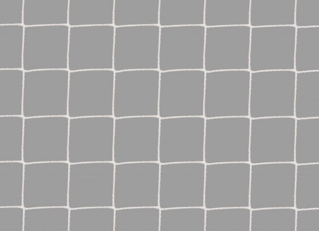 Pigeon Protection Net by the m² (Custom-Made) | Safetynet365