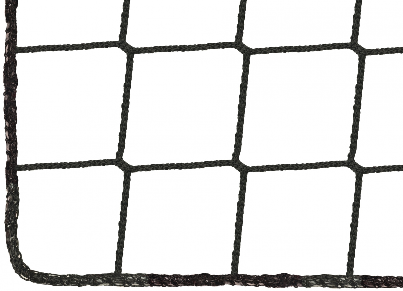 346964_5