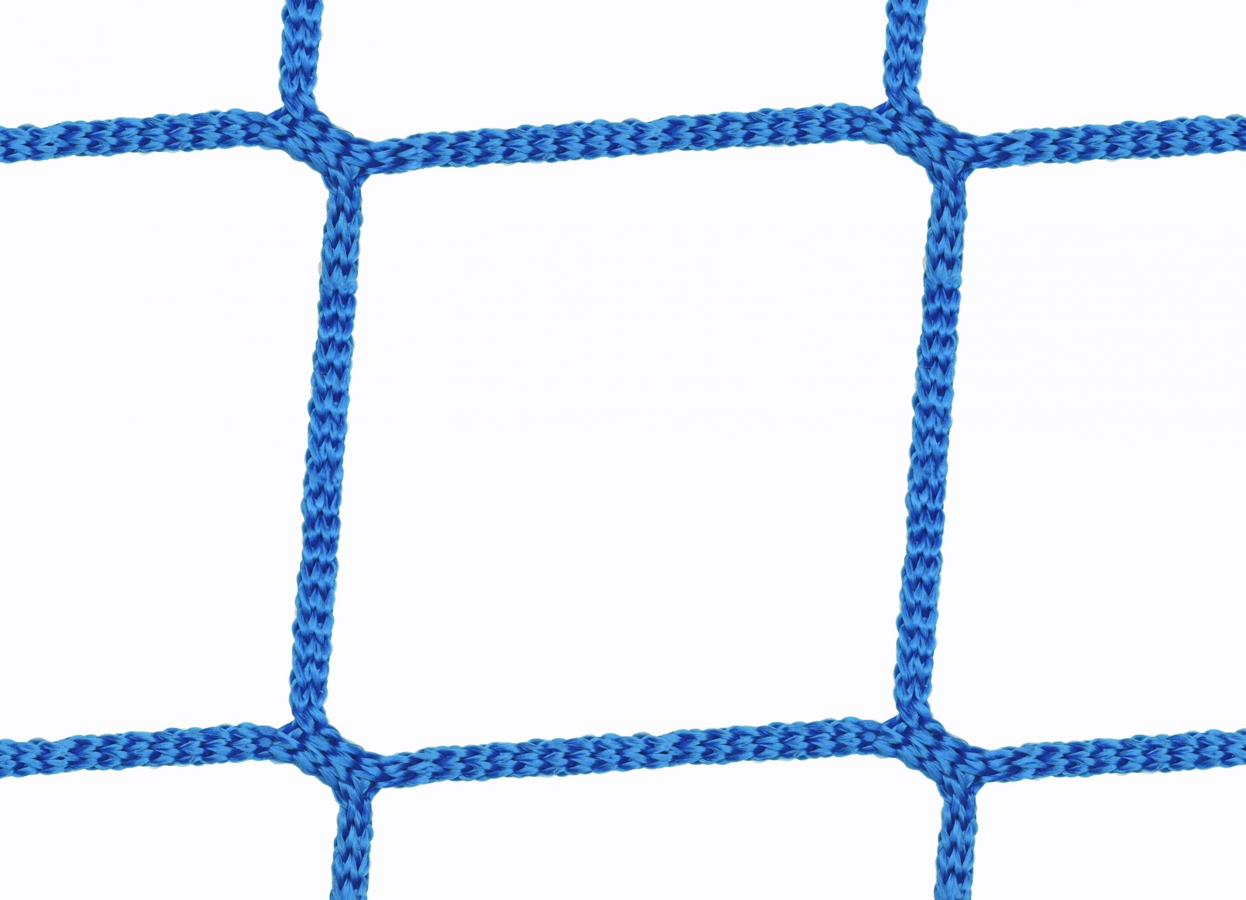 1 Gurtschnellverschluss Gurt Seitenschutznetz Gerüstnetz Netz blau 