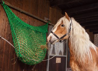 Hay Bag by the m² (Custom-Made)