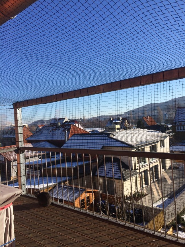 Kundenfoto von Cat Safety Net by the m² (Custom-Made) 