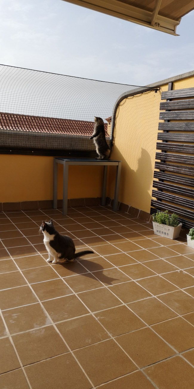 Kundenfoto von Cat Safety Net by the m² (Custom-Made) 