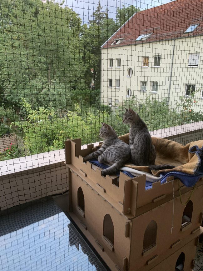 Kundenfoto von Cat Safety Net by the m² (Custom-Made) 