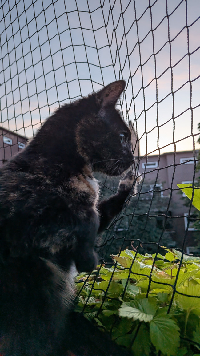 Kundenfoto von Cat Net by the m² (Made to Measure) 