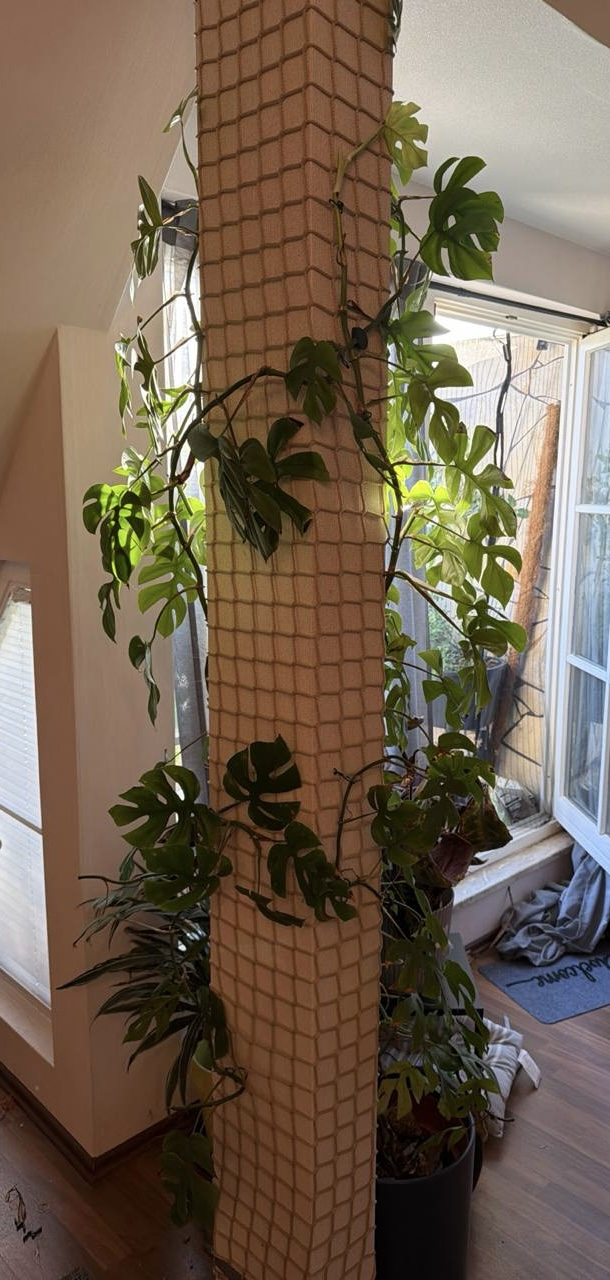 Kundenfoto von Decoration Net by the m² (Made to Measure) 