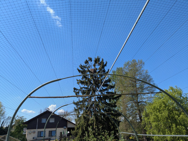 Kundenfoto von Safety Net by the m² (Custom-Made) 1.5/50 mm 