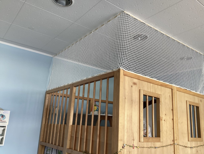 Kundenfoto von Safety Net by the m² (Custom-Made) 2.3/20 mm 