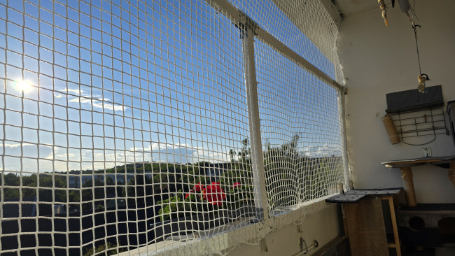 Kundenfoto von Netz per Quadratmeter (nach Maß) 2,3/30 mm 