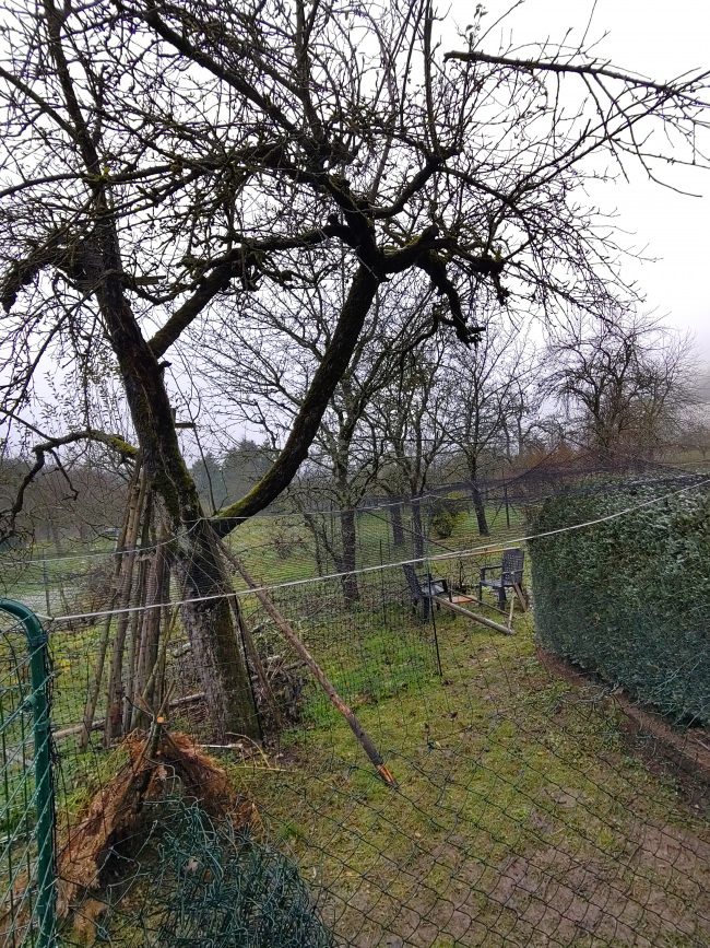 Kundenfoto von Poultry Net by the m² (Made to Measure), Black 