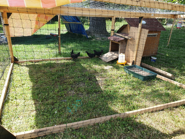 Kundenfoto von Poultry Net by the m² (Made to Measure), Black 
