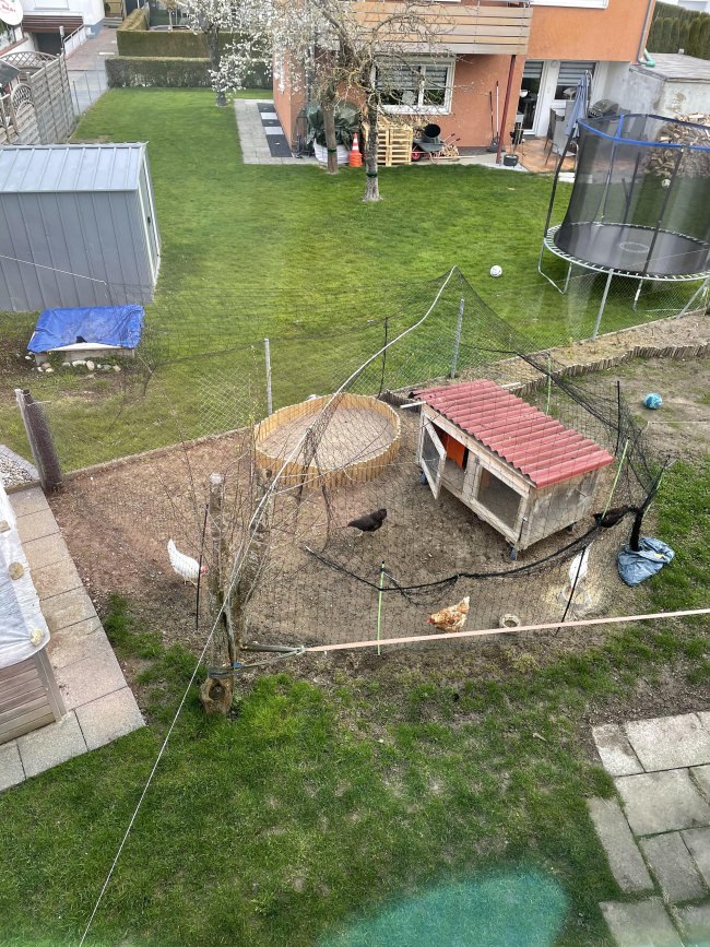 Kundenfoto von Reiher-Schutznetz per m² (nach Maß), schwarz 