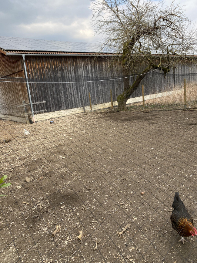 Kundenfoto von Reiher-Schutznetz per m² (nach Maß), schwarz 