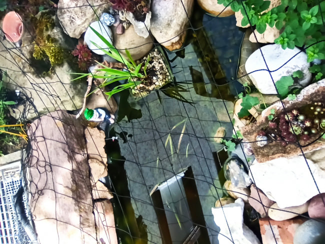 Kundenfoto von Reiher-Schutznetz per m² (nach Maß), schwarz 