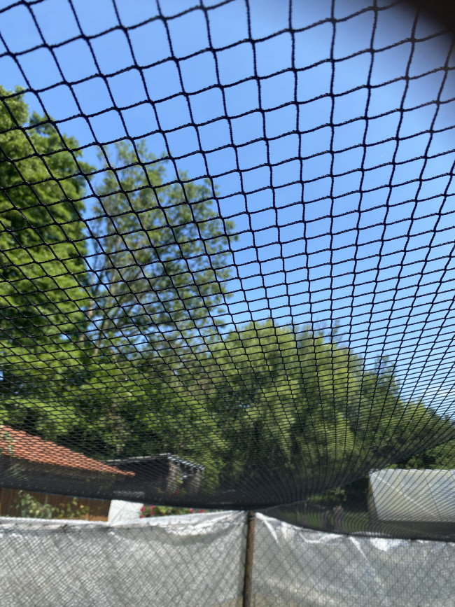 Kundenfoto von Aviary Net by the m² (Custom-Made), Black 