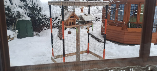 Kundenfoto von Pigeon Protection Net by the m² (Custom-Made) 