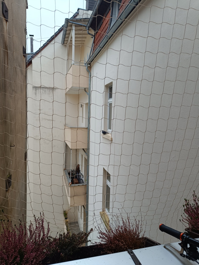 Kundenfoto von Pigeon Protection Net by the m² (Custom-Made) 