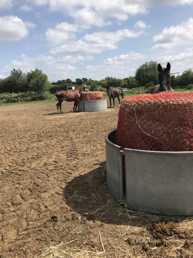 Kundenfoto von Hay Net by the m² (Custom-Made) 