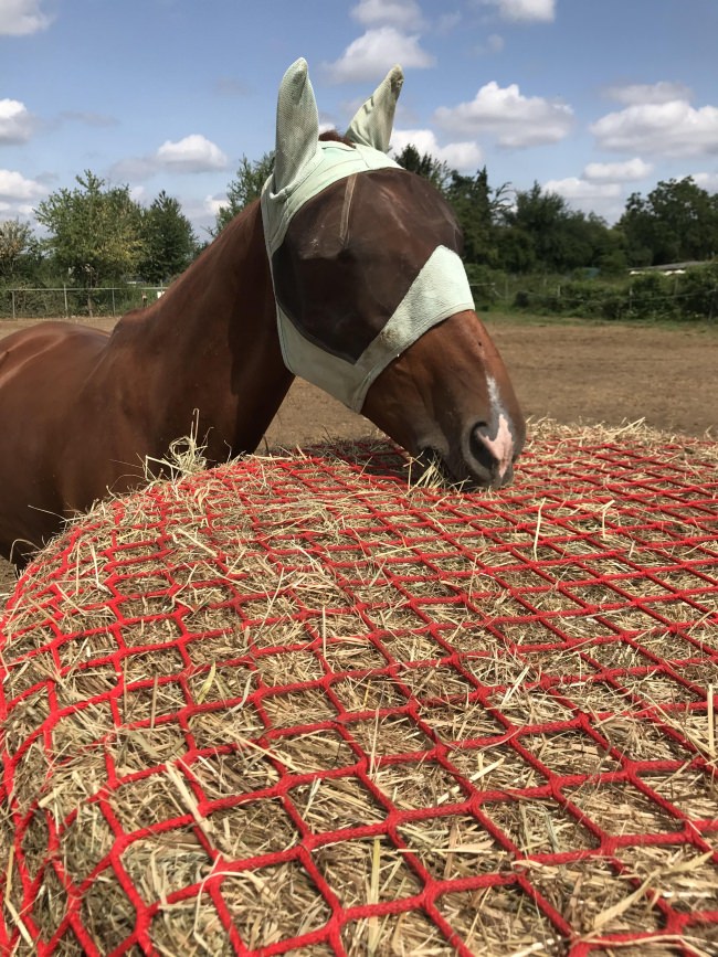 Kundenfoto von Hay Net by the m² (Custom-Made) 