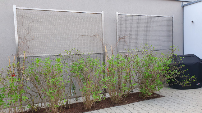 Kundenfoto von Netz nach Maß (per m²) 