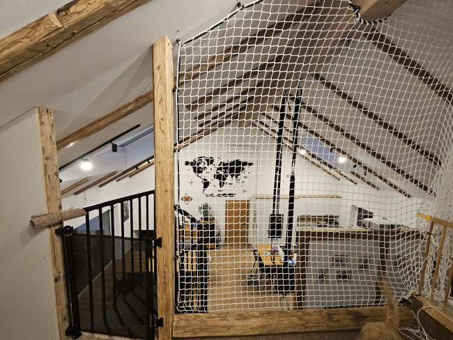 Kundenfoto von Netz nach Maß (per m²) 