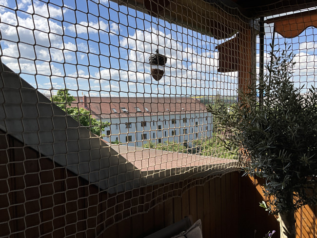 Kundenfoto von Netz nach Maß (per m²) 