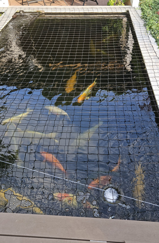 Kundenfoto von Sicherheitsnetz per m² (nach Maß) 