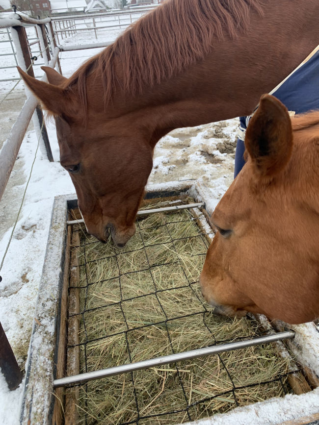 Kundenfoto von Schutznetz per m² (nach Maß) 3,0/120 mm 