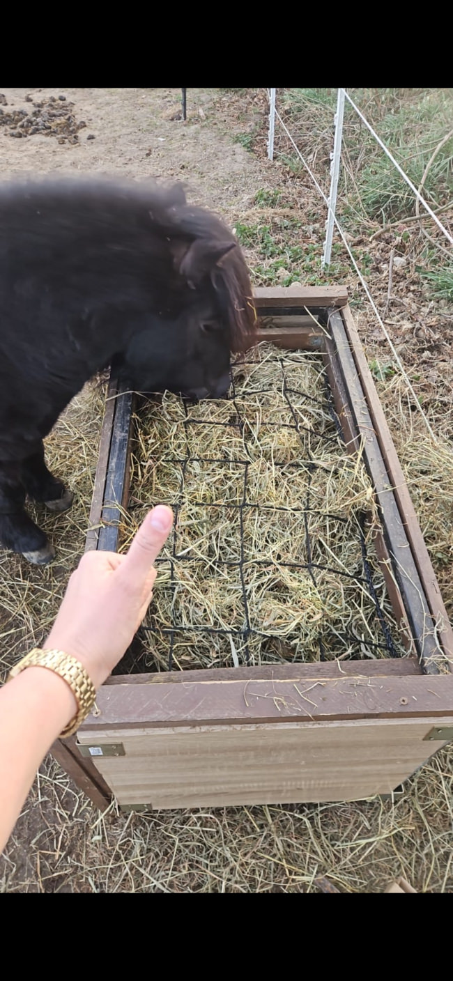 Kundenfoto von Schutznetz per m² (nach Maß) 3,0/120 mm 