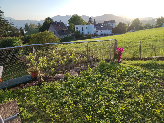 Kundenfoto von Play Area Safety Net by the m² (Custom-Made) 