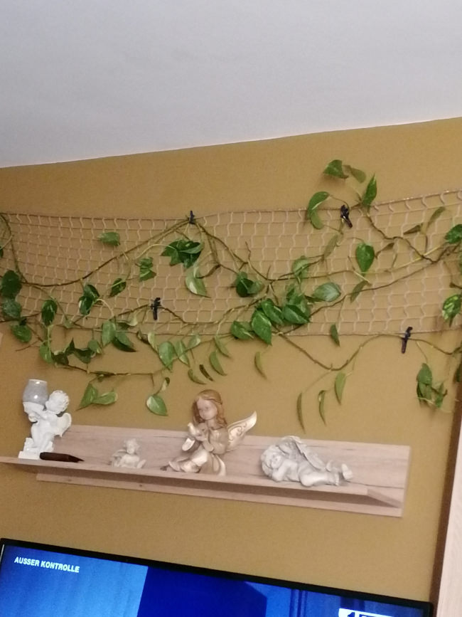 Kundenfoto von Net for Securing Slopes, Custom-Made 