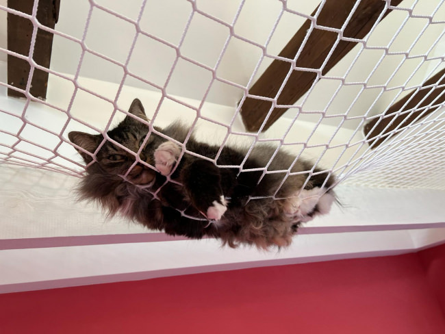 Kundenfoto von Net for Securing Slopes, Custom-Made 