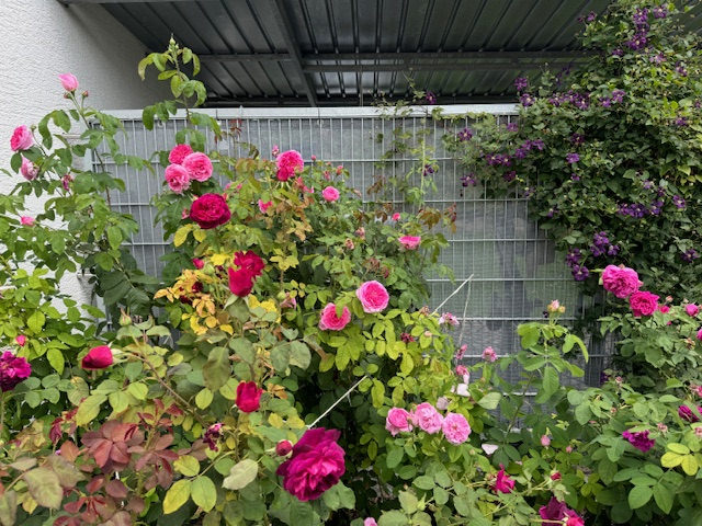 Kundenfoto von Air-Permeable Fabric by the m² (Custom-Made) 