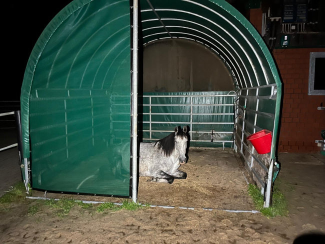 Kundenfoto von PVC-Coated Webbing, Custom-Made, Green 